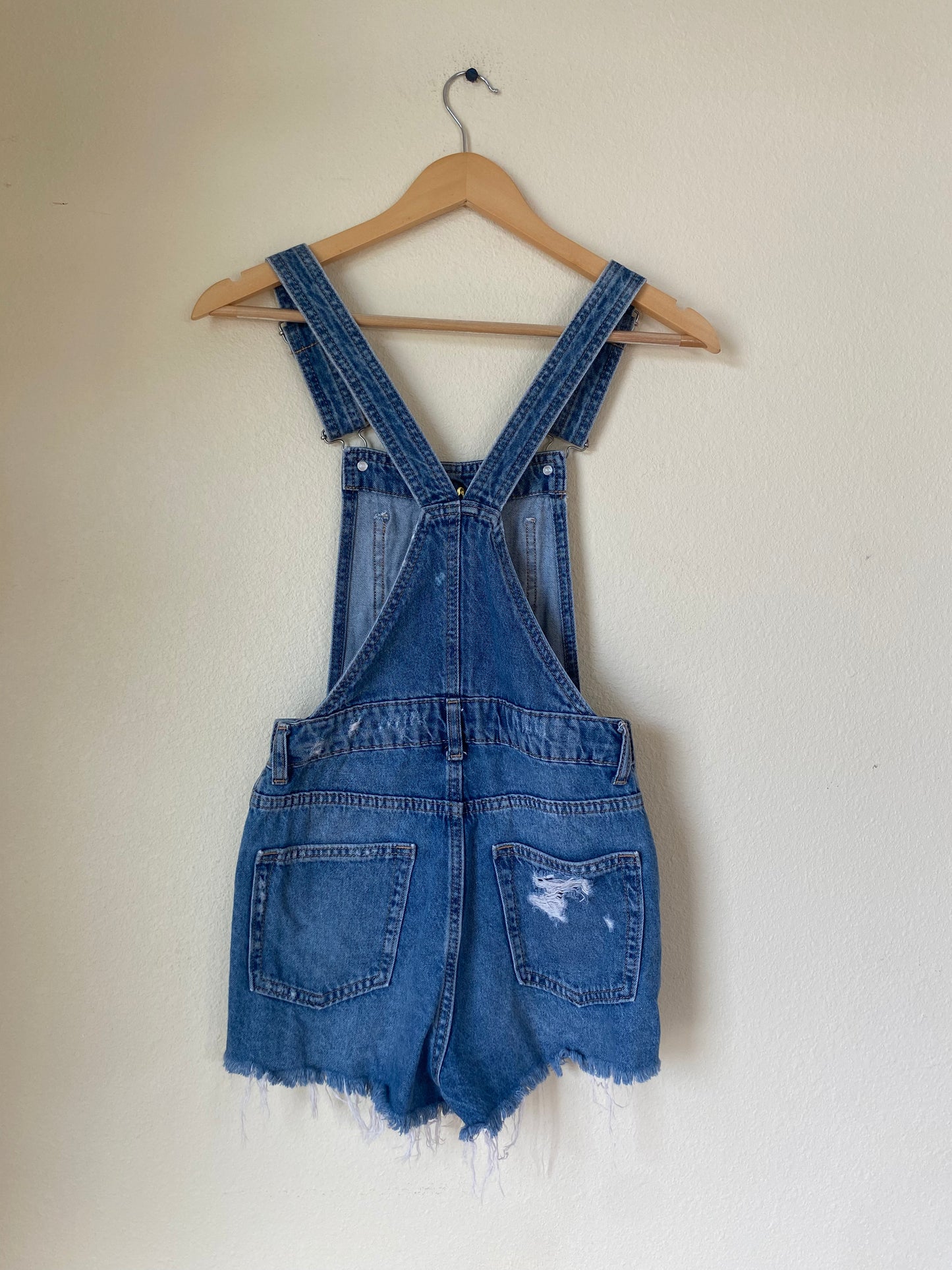 The Distressed Overalls SMALL